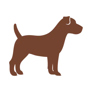 para todos los tama&ntilde;os