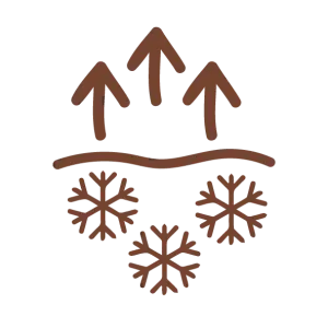 alimentaci&oacute;n cruda liofilizada, m&aacute;xima conservaci&oacute;n de nutrientes