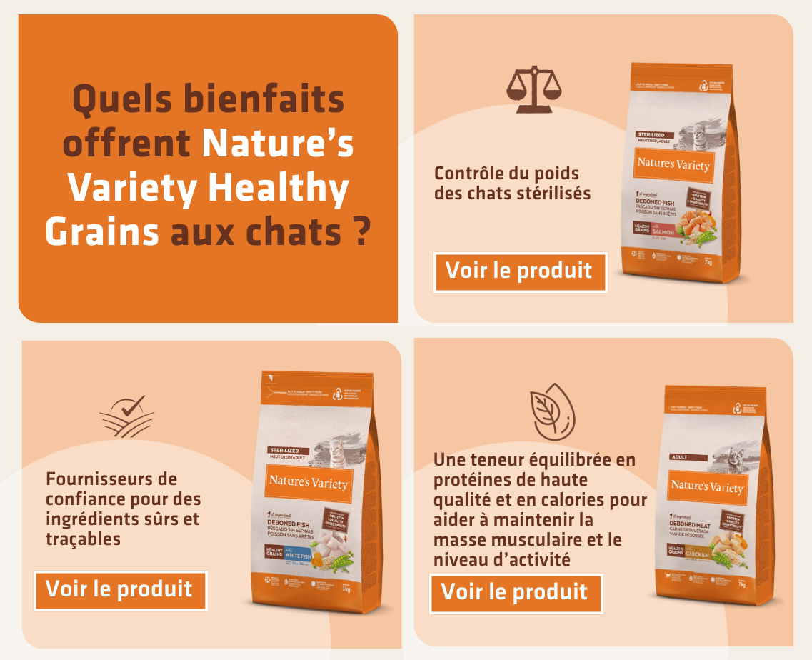 Banner productos gato