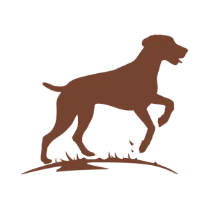 Aide &agrave; maintenir la masse musculaire