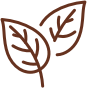 svg