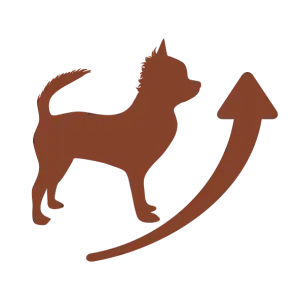 NIVEAU D'&Eacute;NERGIE AD&Eacute;QUAT POUR LES PETITES RACES