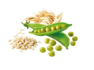 RISO INTEGRALE, AVENA E PISELLI