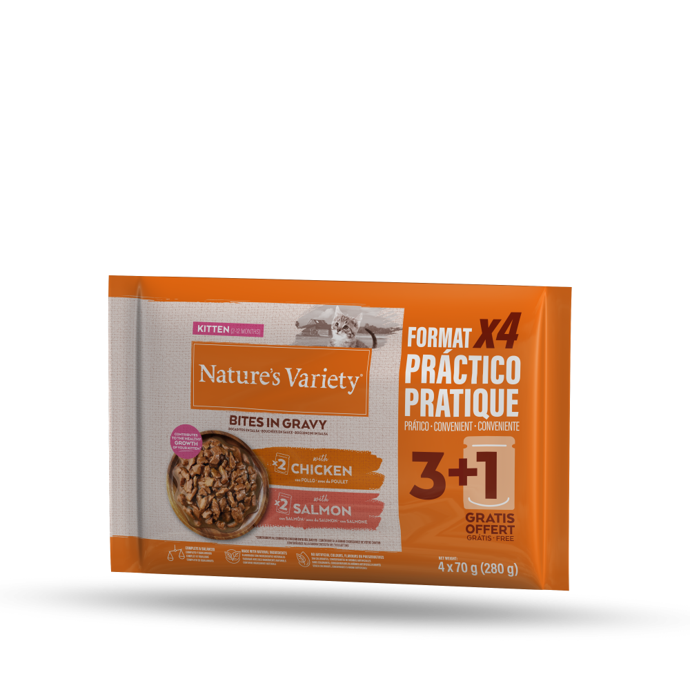 Peda&ccedil;os envolvidos em molho gatinhos com frango ou salm&atilde;o