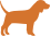 Cão(ães)