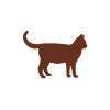 Gato
